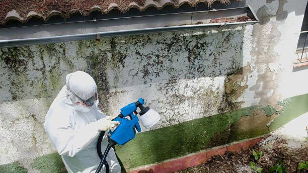 Top rated local Mold Remediation specialists in Fair Lakes, VA